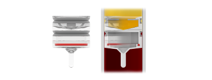 StemTrap 구조